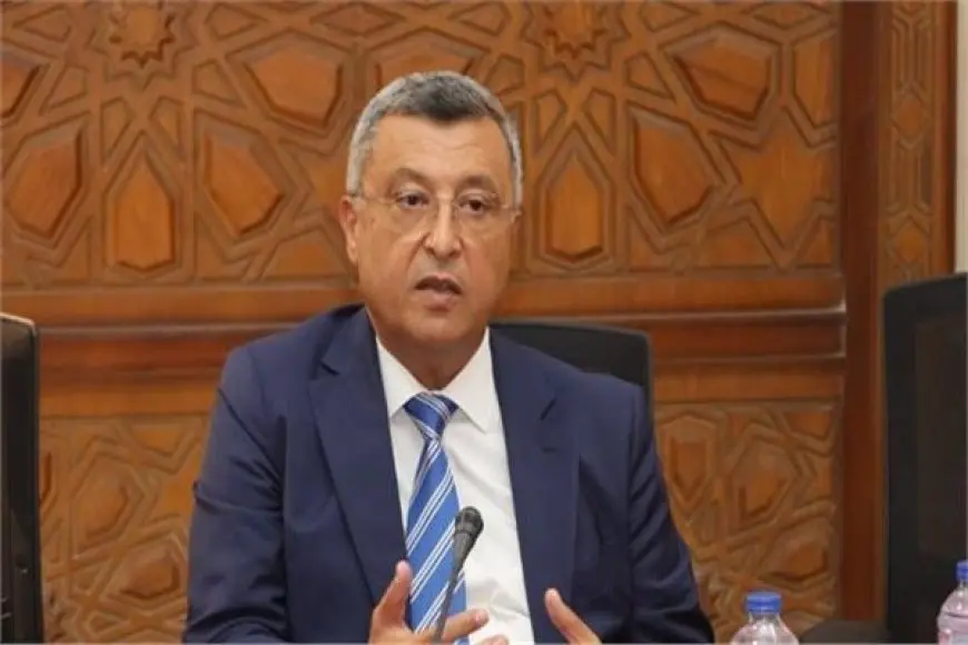 وزير البترول الأسبق: الصحراء الغربية مستقبل الطاقة