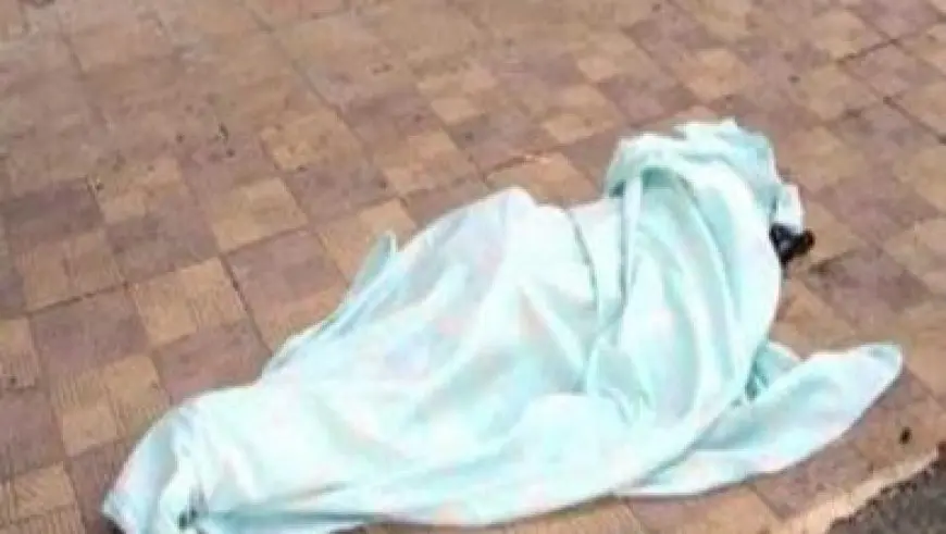 24 نوفمبر.. انطلاق الدوة الأولى لصدى الأهرامات تحت شعار «مهد الحضارات.. ملتقى الفنون والثقافات»