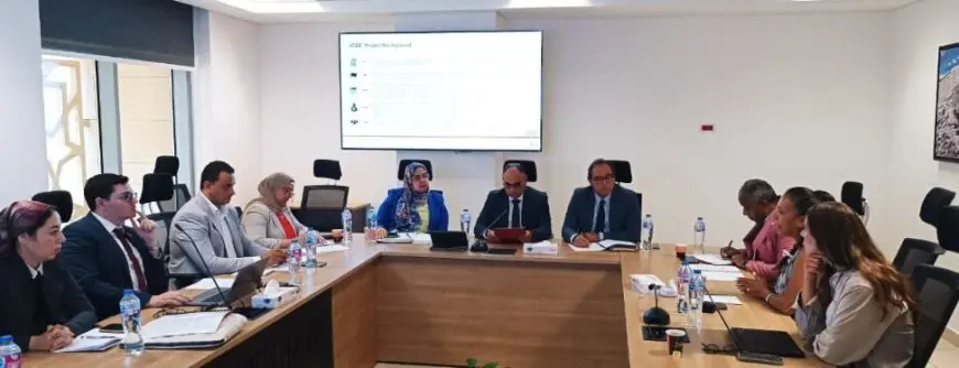 البيئة واللجنة المصرية الألمانية يعقدان اجتماعا تنسيقيا لتعزيز التعاون في العمل المناخي