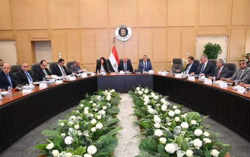 الحكومة تحدد 28 صناعة تحتاجها السوق المحلية لعرضها على المستثمرين