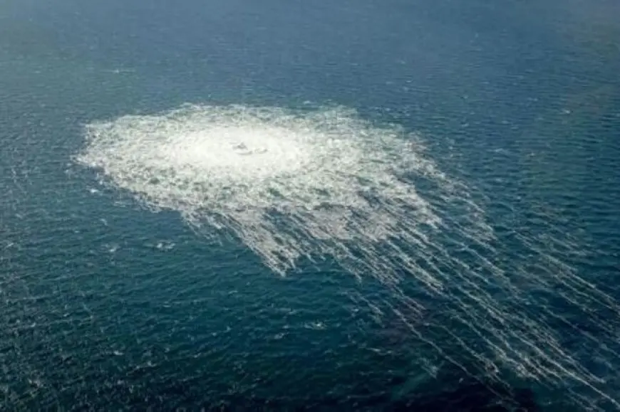 محكمة إيطالية تقضي بتسليم مواطن أوكراني يشتبه في تورطه بتفجيرات نورد ستريم لألمانيا