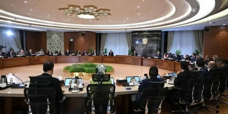 رئيس الوزراء يؤكد: مصر لديها بدائل كثيرة لتلبية احتياجاتها من الغاز