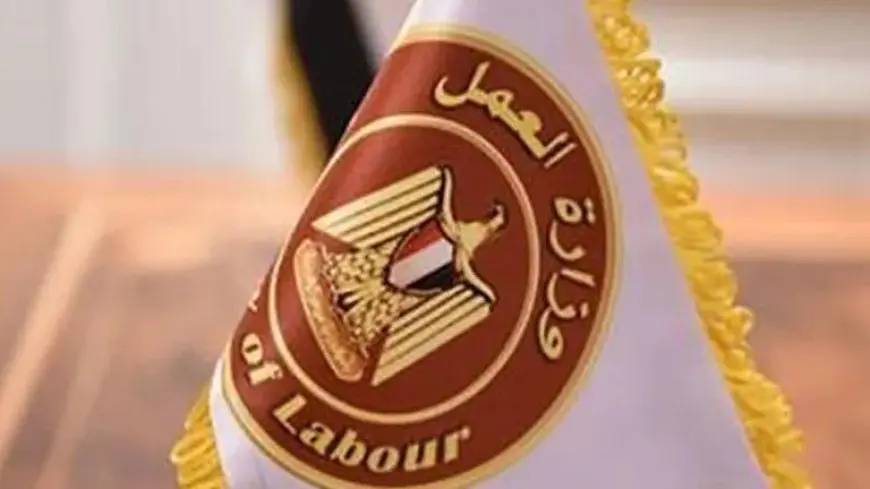 3 آلاف فرصة عمل جديدة بـ44 شركة خاصة في 11 محافظة.. التخصصات والتقديم