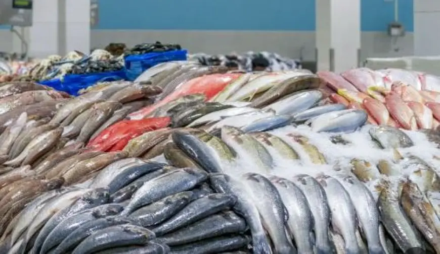 17 سبتمبر 2025.. أسعار الأسماك بسوق العبور للجملة اليوم