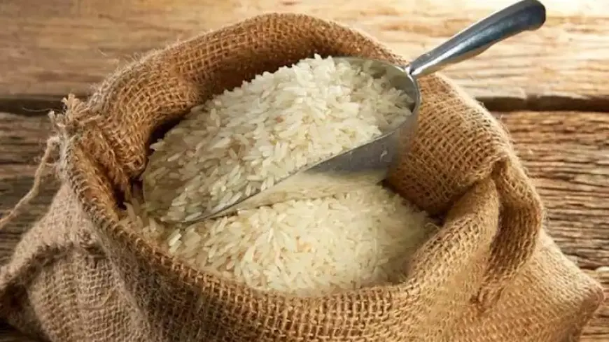 مع زيادة المعروض.. هل تنخفض أسعار الأرز الفترة المقبلة؟ الشعبة تجيب