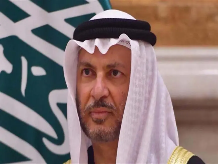 قرقاش: أزمات العامين الماضيين أعادت رسم خريطة الشرق الأوسط