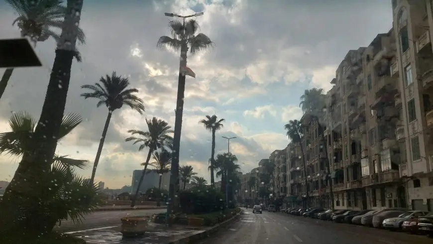 سقوط أمطار خفيفة بالإسكندرية