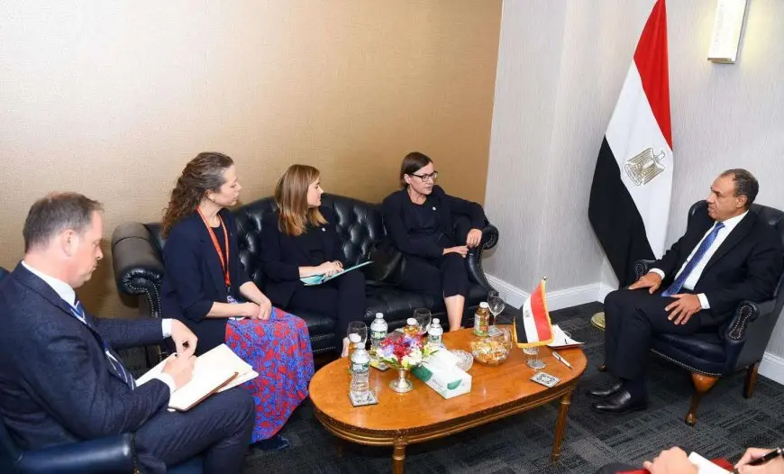 وزير الخارجية يحذر من خطورة تداعيات العمليات العسكرية على القطاع ومخطط التهجير الذى ترفضه مصر