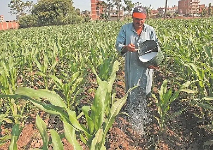 وزير الزراعة: وضعنا خريطة سمادية جديدة لترشيد الاستهلاك.. و95% من المزارعين تسلموا حصصهم