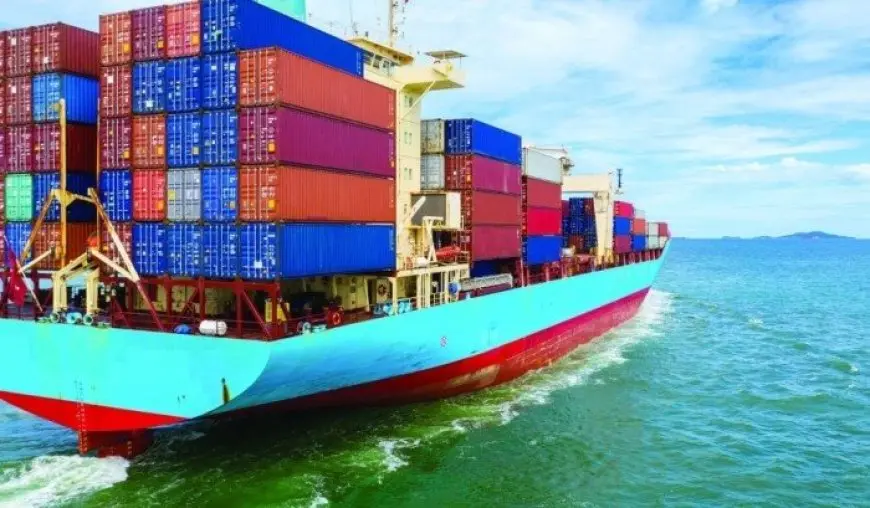 الإحصاء: ارتفاع قيمة الصادرات المصرية بنسبة 6.5% خلال عام 2024