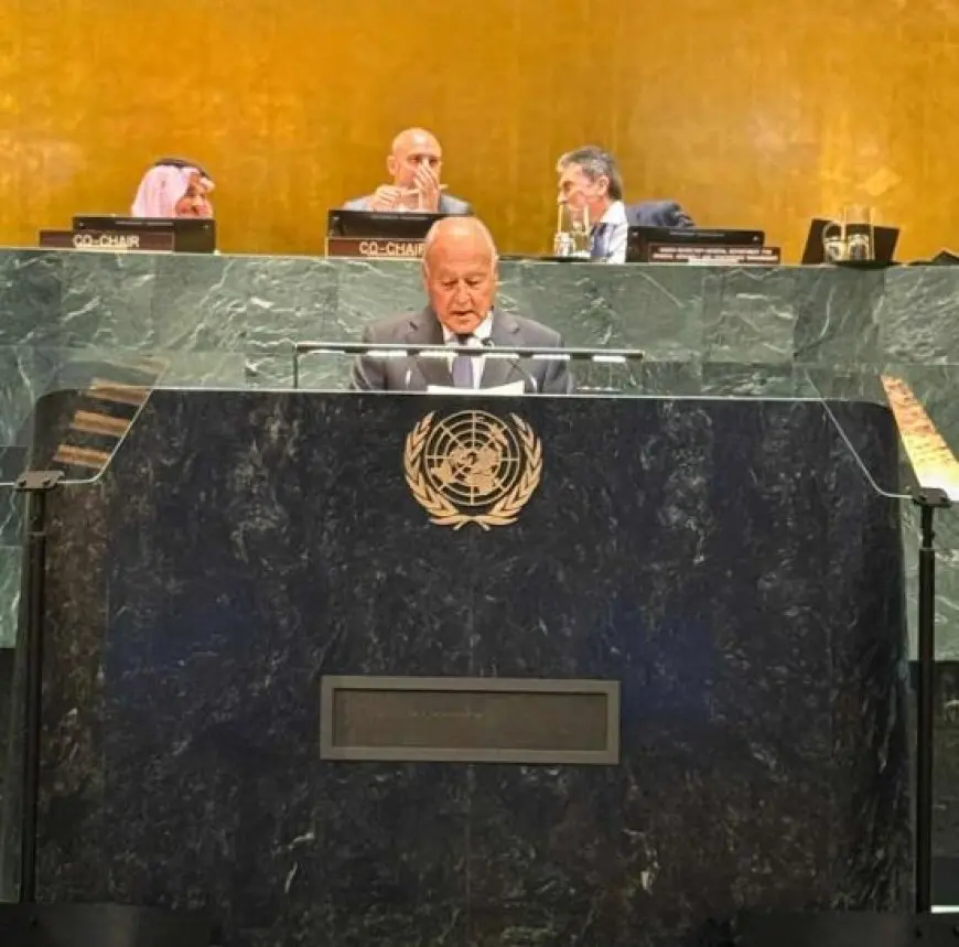 إعادة التاريخ إلى مساره الصحيح.. ماذا قال أبو الغيط خلال كلمته بمؤتمر حل الدولتين في نيويورك؟