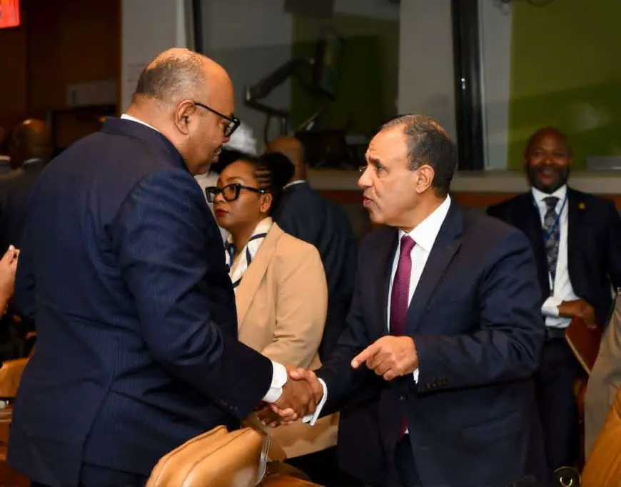 وزير الخارجية: التوافق هو الضمانة الوحيدة لتحقيق المصالح المشتركة بمنطقة حوض النيل