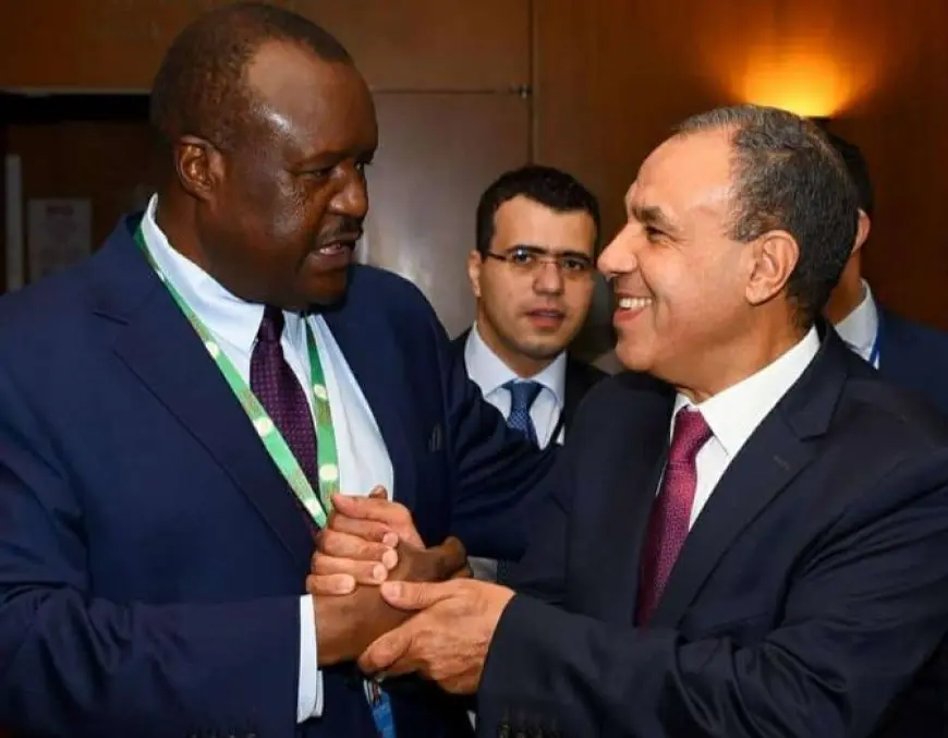 وزير الخارجية يبحث مع رئيس برلمان عموم إفريقيا تعزيز التعاون وتوحيد المواقف الإقليمية والدولية