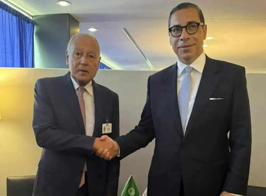 أبوالغيط: نعول على رئاسة قبرص للاتحاد الأوروبي لتعزيز آليات التعاون العربي الأوروبي