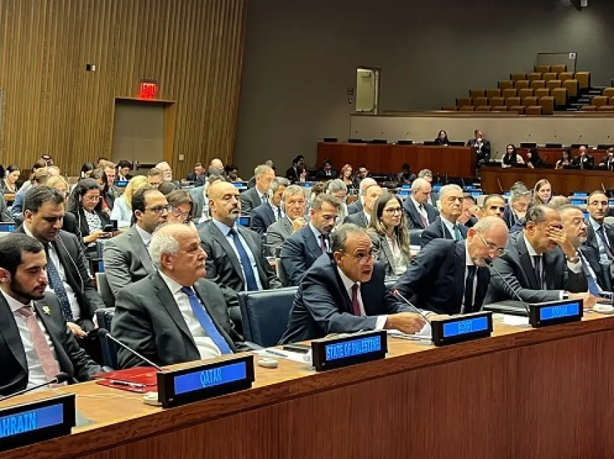 وزير الخارجية: الاعتراف بالدولة الفلسطينية لحظة تاريخية في مسار الإنسانية