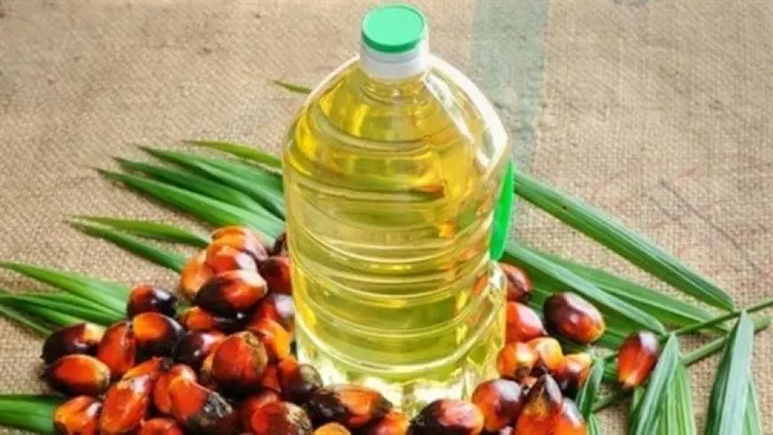استمرار ارتفاع أسعار زيت النخيل مع تراجع الإنتاج