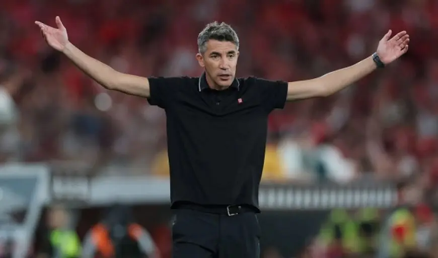 «حال فشل التعاقد مع لاجي».. سيف زاهر: الأهلي يضع مدربا أجنبيا آخر في حساباته