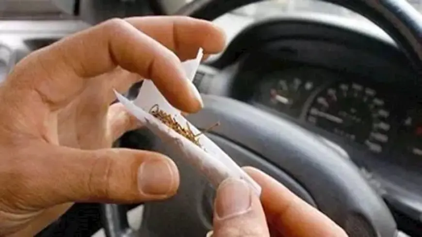 سائق نقل: ما حكم شرب المخدرات للتغلب على تعب السواقة؟.. والإفتاء ترد