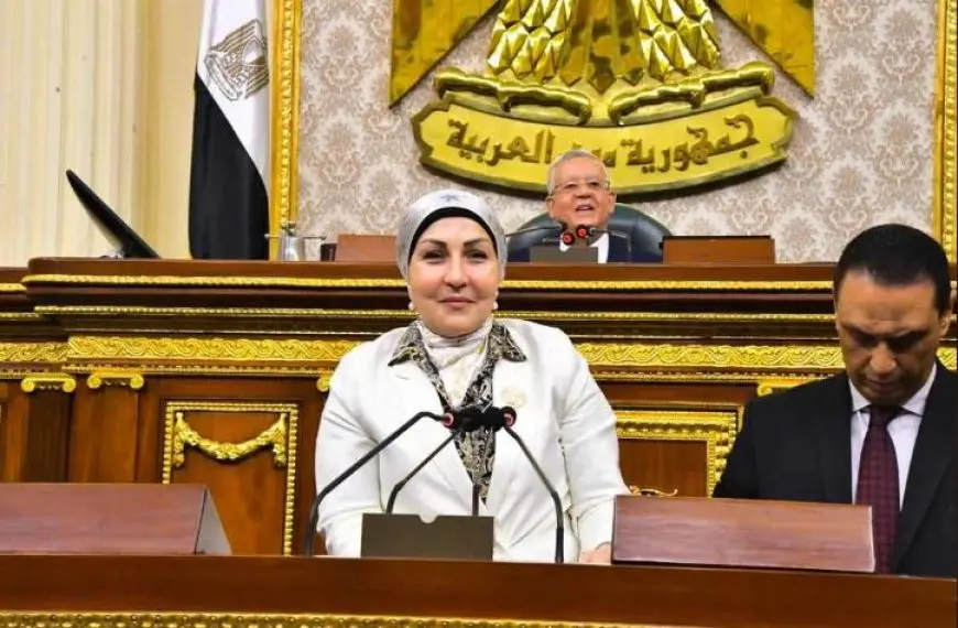 النائبة هالة أبو السعد: إنقاذ المصانع المتعثرة يتطلب تمويلاً مرنًا وحوافز لدعم المنتج المصري