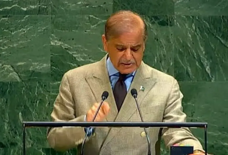 رئيس وزراء باكستان: استمرار الإبادة الجماعية الإسرائيلية في غزة وصمة عار على الضمير العالمي