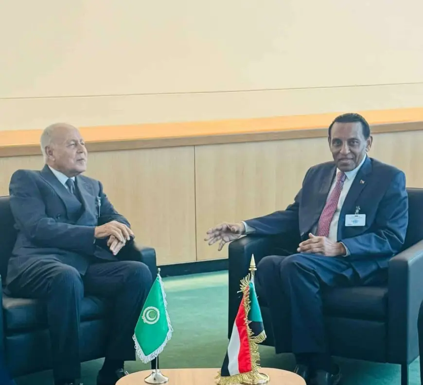 أبو الغيط يؤكد ضرورة الحفاظ على سيادة السودان ووحدته خلال لقائه مع كامل إدريس
